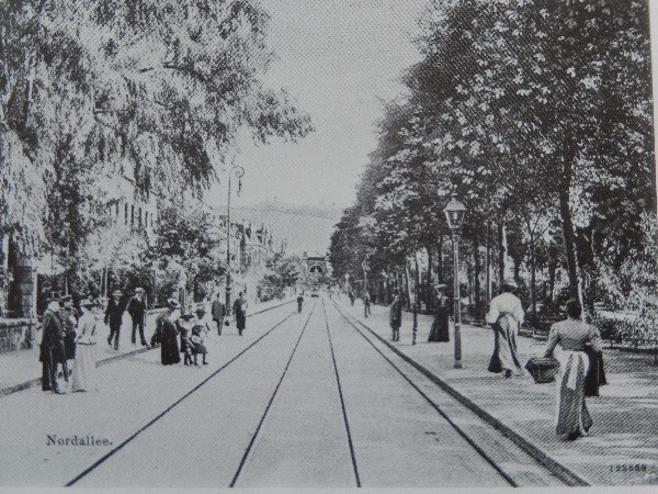allenring1