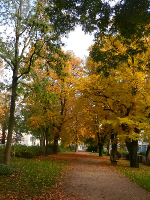 Alleenring Herbst