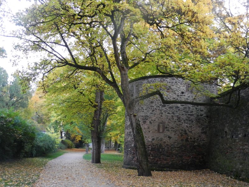 Alleenring Turm